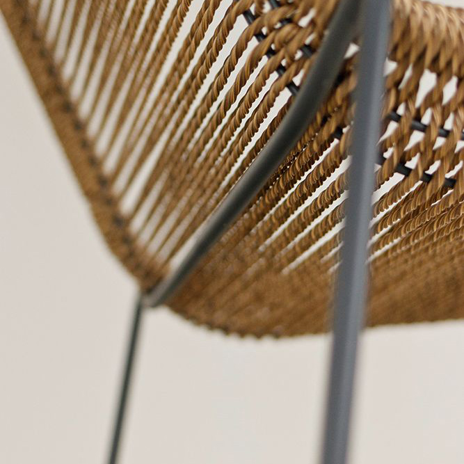 Juduna wheat