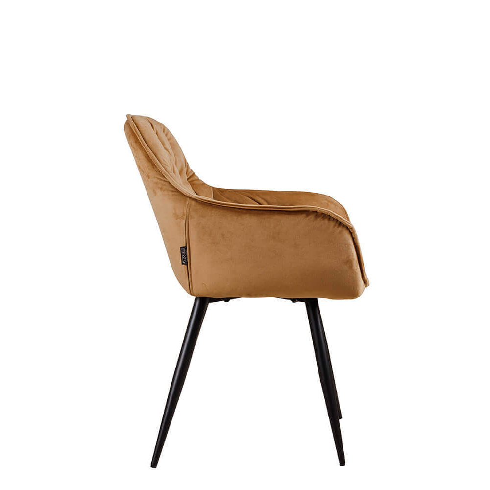 Polsterstuhl Ginger Quartz 401