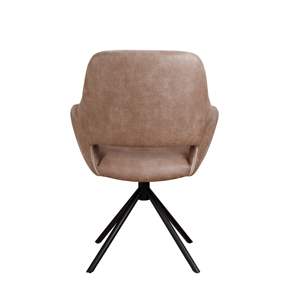 Eno-200-Arm hinten